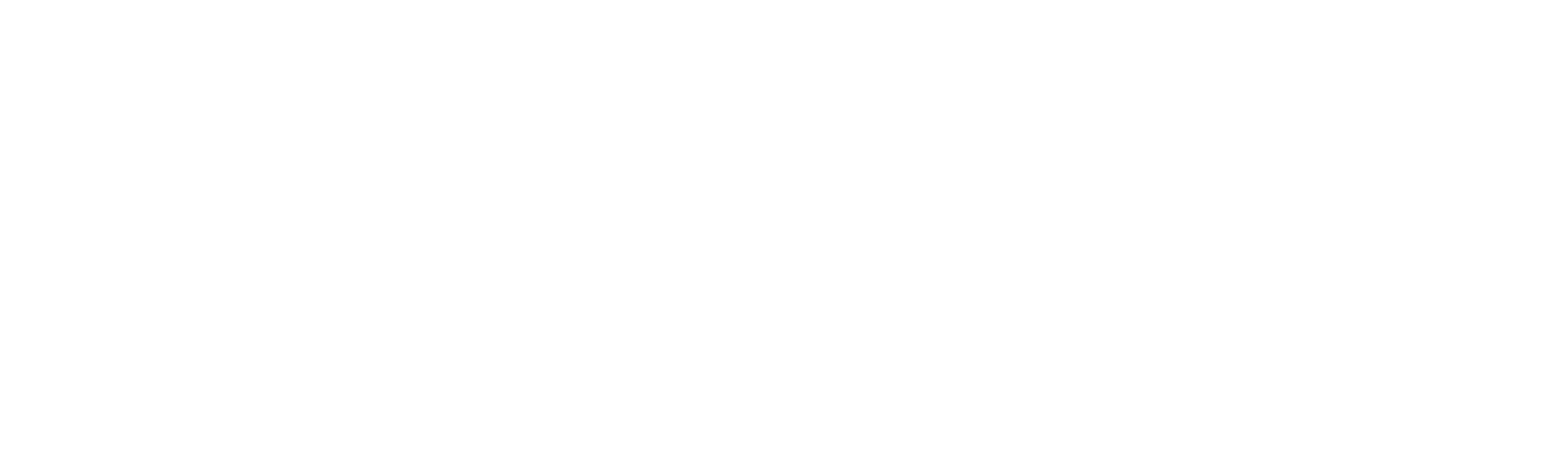 Sagium Logo WHITE